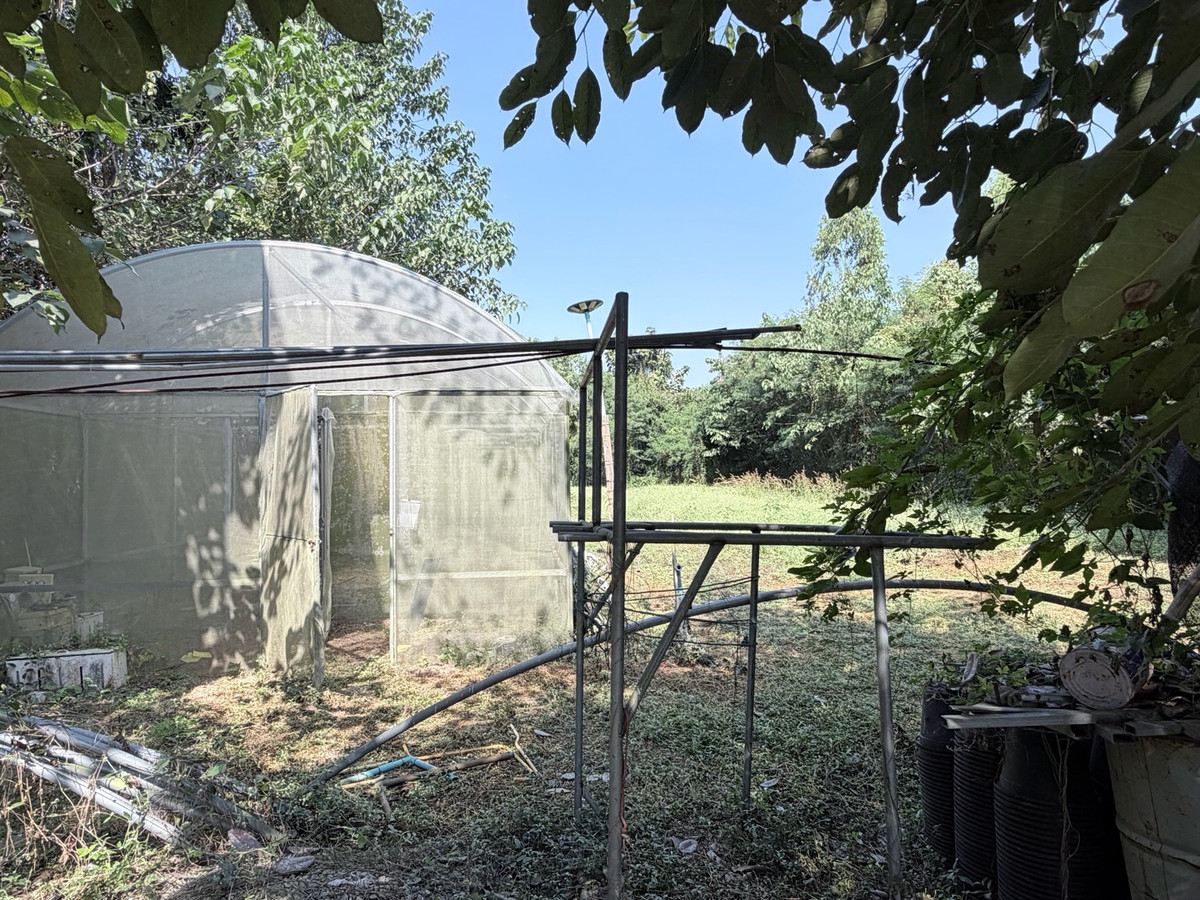 ขายที่ดินลำปาง : [Land Lampang] ขายด่วน! ที่ดิน 1 ไร่กว่า ริมแม่น้ำวัง วิวดี ใกล้เมืองลำปาง เหมาะสร้าง Private Luxury Villa รีสอร์ท ร้านอาหาร ลานแคมป์ปิ้ง