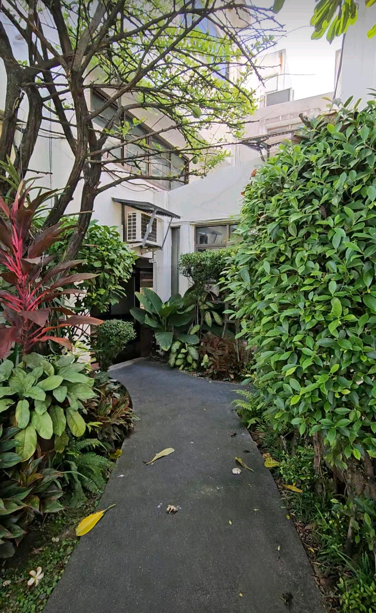 For SaleHouseBang Sue, Wong Sawang, Tao Pun : Golden Opportunity Bangkok-Non 44, 46Beautiful plot of land 405 sq m.