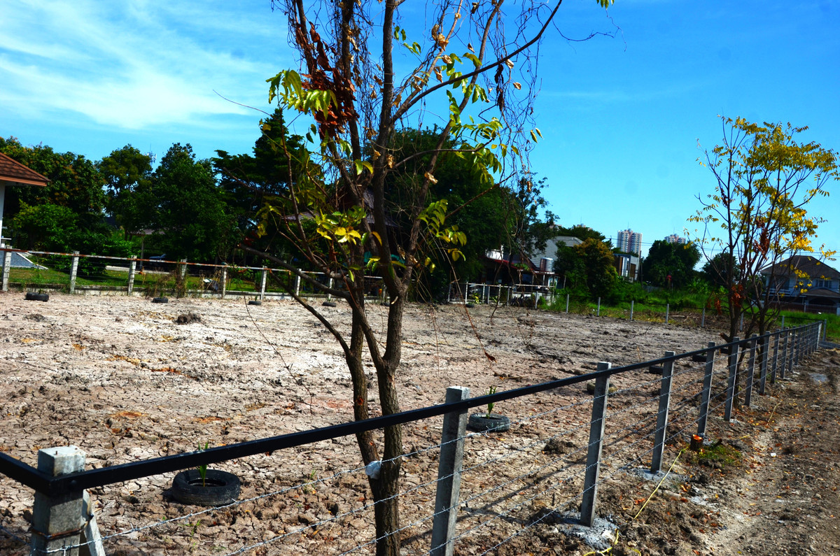 For SaleLandChaengwatana, Muangthong : Land for sale in Soi Tiwanon, Pak Kret 34, high fill, fenced, suitable for building a house and mansion. Big family house, good weather, good neighbors.