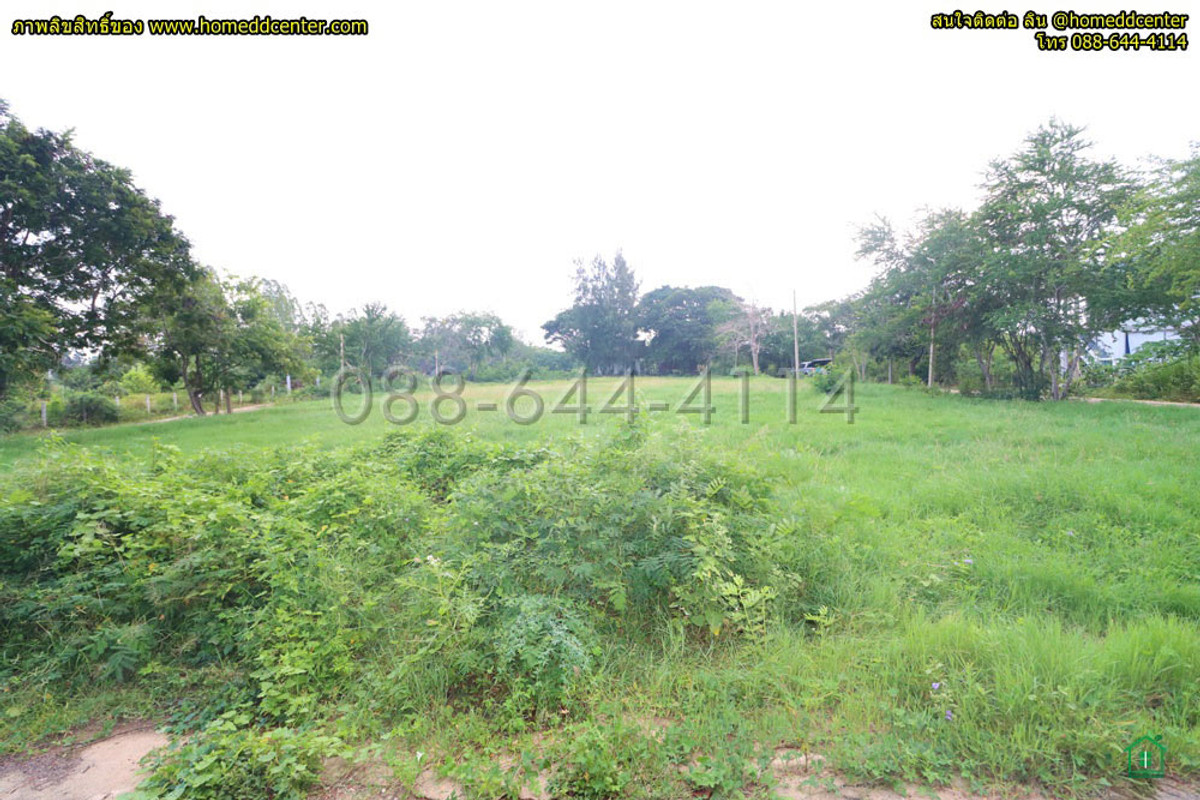 ขายที่ดินชะอำ เพชรบุรี : ที่ดิน 300 ตร.ว.ใกล้ทะเล เพชรบุรี ใกล้ หาดเจ้าสำราญ หาดปึกเตียน เพชรบุรี ในโครงการจัดสรร ติดถนนคอนกรีต 3 ด้าน