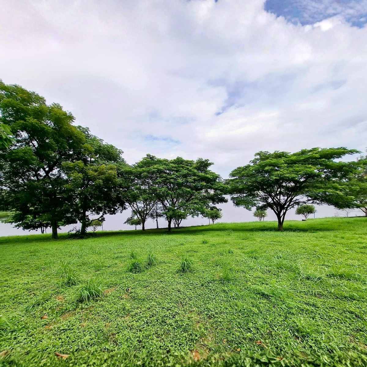 ขายที่ดินสมุทรปราการ สำโรง : ที่ดินริมทะเลสาบ – ไพร์ม เนเจอร์ วิลล่า 📞092-4252445 Prime Nature Villa