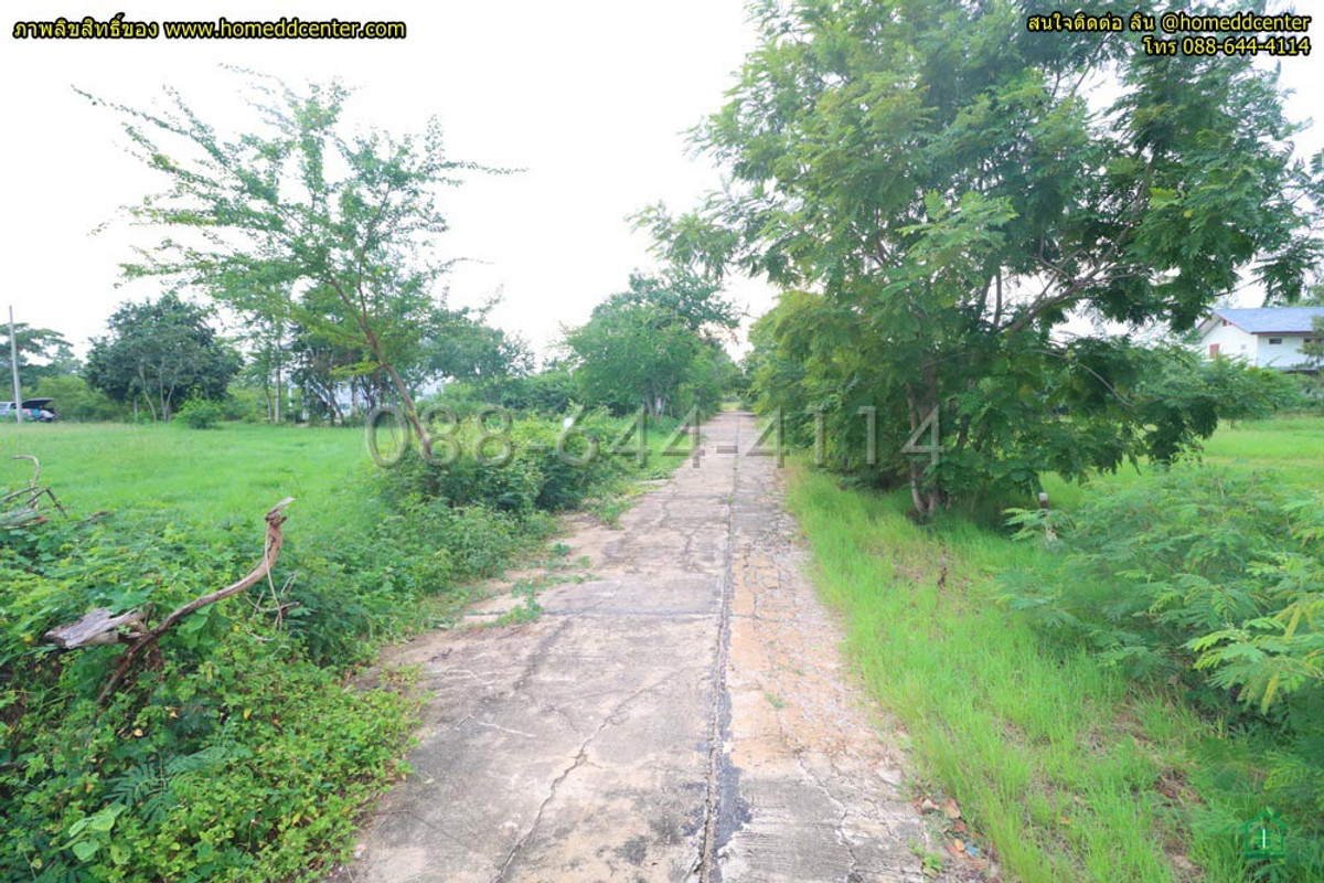 ขายที่ดินชะอำ เพชรบุรี : ที่ดิน 300 ตร.ว.ใกล้ทะเล เพชรบุรี ใกล้ หาดเจ้าสำราญ หาดปึกเตียน เพชรบุรี ในโครงการจัดสรร ติดถนนคอนกรีต 3 ด้าน