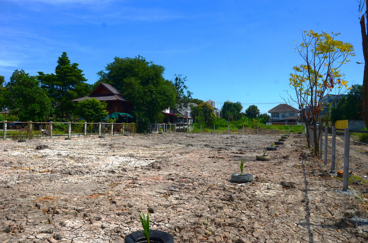 For SaleLandChaengwatana, Muangthong : Land for sale in Soi Tiwanon, Pak Kret 34, high fill, fenced, suitable for building a house and mansion. Big family house, good weather, good neighbors.