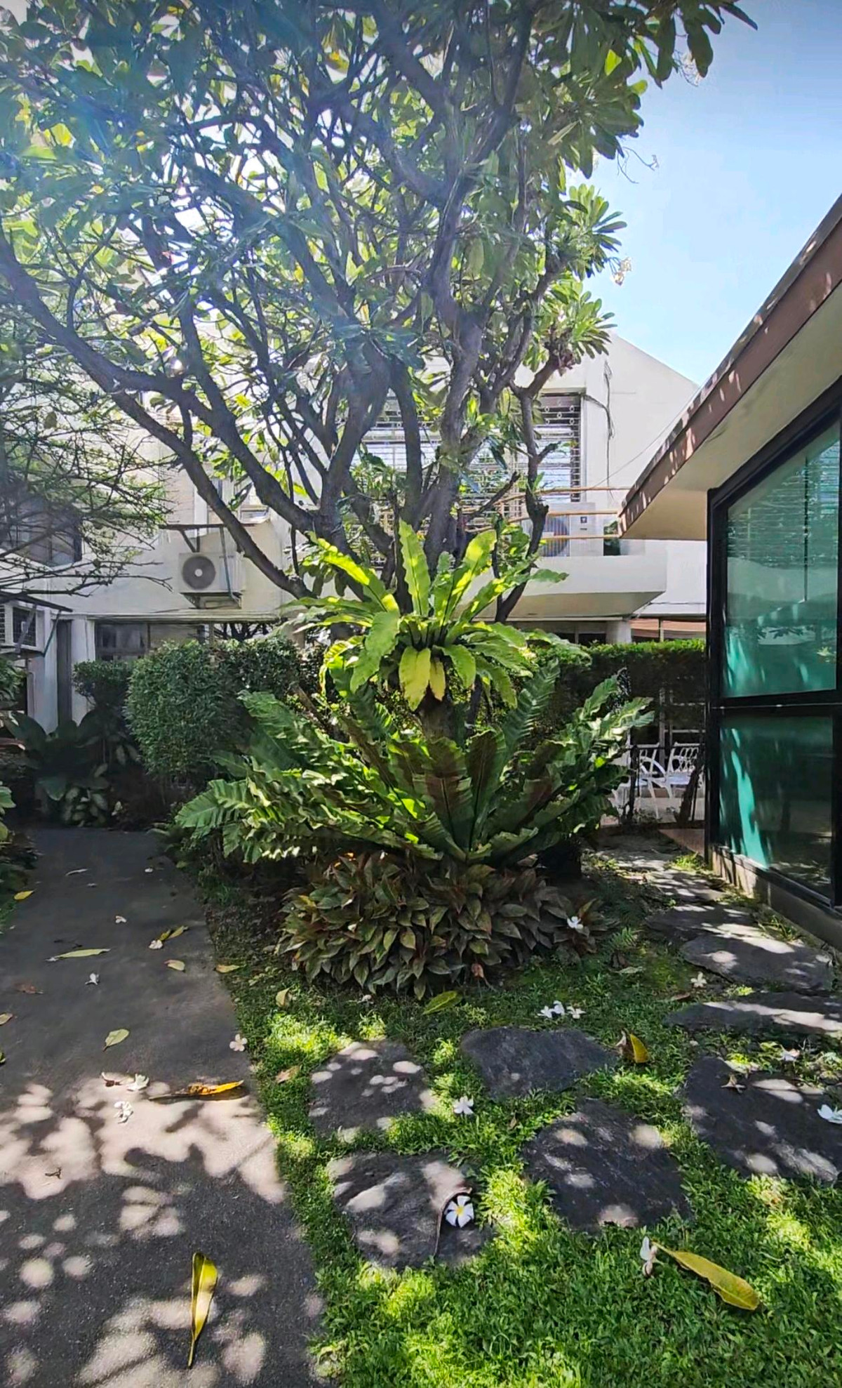 For SaleHouseBang Sue, Wong Sawang, Tao Pun : Golden Opportunity Bangkok-Non 44, 46Beautiful plot of land 405 sq m.