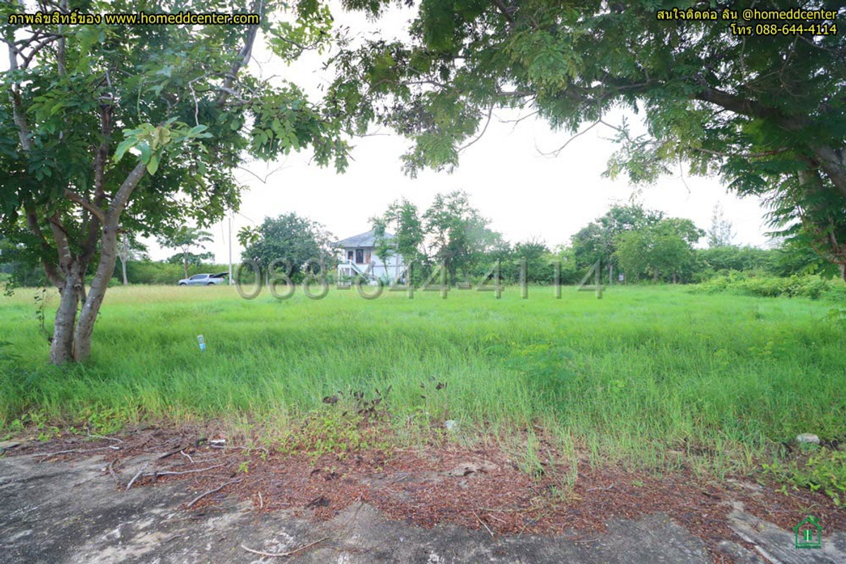 ขายที่ดินชะอำ เพชรบุรี : ที่ดิน 300 ตร.ว.ใกล้ทะเล เพชรบุรี ใกล้ หาดเจ้าสำราญ หาดปึกเตียน เพชรบุรี ในโครงการจัดสรร ติดถนนคอนกรีต 3 ด้าน