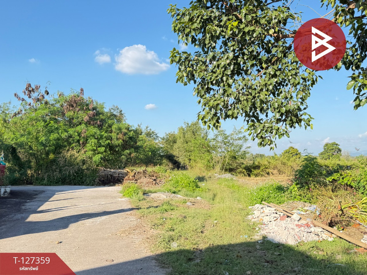 ขายที่ดินลำพูน : ขายที่ดินสวนลำไย เนื้อที่ 8 ไร่ 8 ตารางวา ต.ป่าสัก เมืองลำพูน