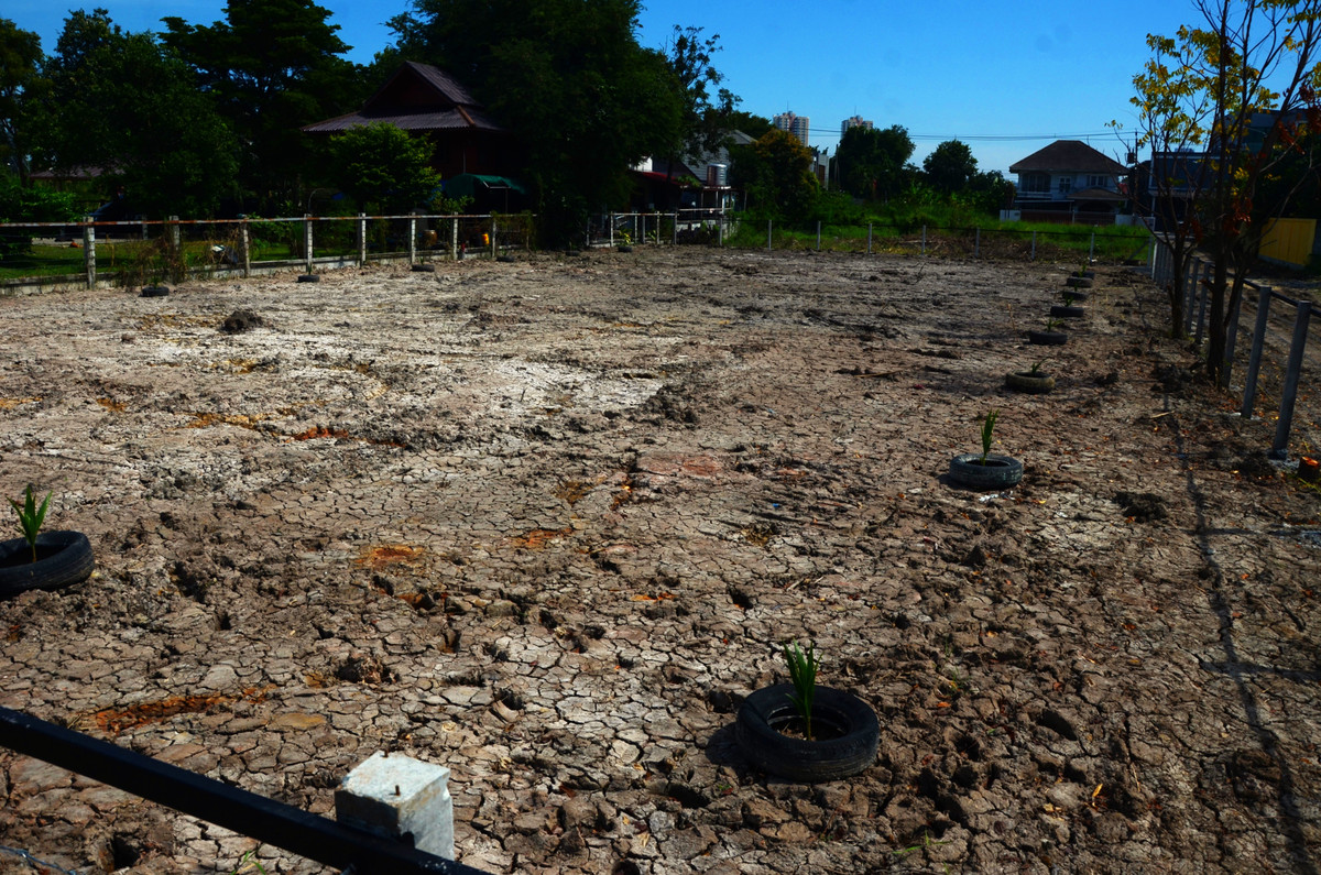 For SaleLandChaengwatana, Muangthong : Land for sale in Soi Tiwanon, Pak Kret 34, high fill, fenced, suitable for building a house and mansion. Big family house, good weather, good neighbors.