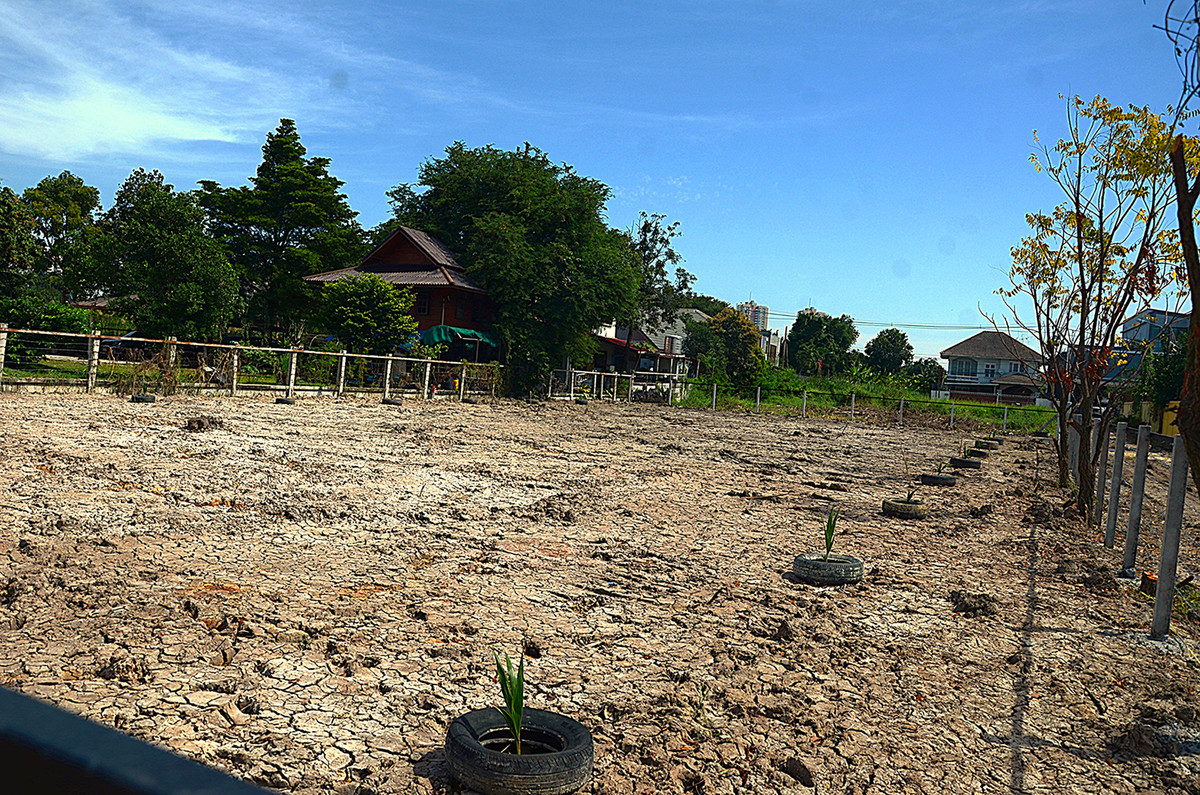 For SaleLandChaengwatana, Muangthong : Land for sale in Soi Tiwanon, Pak Kret 34, high fill, fenced, suitable for building a house and mansion. Big family house, good weather, good neighbors.