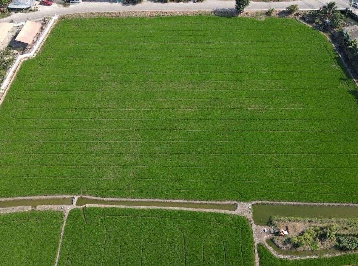 ขายที่ดินนนทบุรี บางใหญ่ บางบัวทอง : 📢 โอกาสทองสำหรับนักลงทุน! ที่ดินแปลงสวย หน้ากว้าง ติดถนนใหญ่ ทำเลศักยภาพบางใหญ่ ใกล้รถไฟฟ้าและสิ่งอำนวยความสะดวก เดินทางสะดวกหลายเส้นทาง เหมาะพัฒนาโครงการที่อยู่อาศัย คอมเมอร์เชียล หรือศูนย์กระจายสินค้า