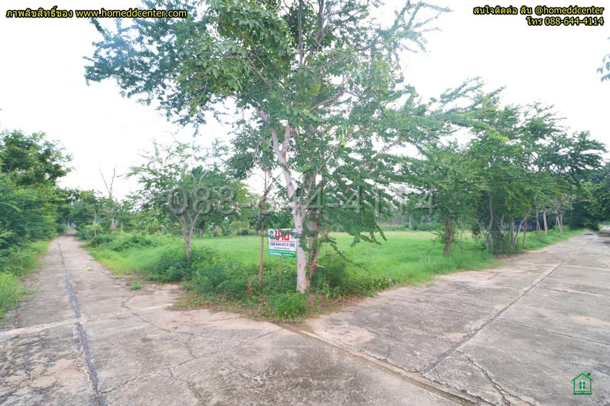 ขายที่ดินชะอำ เพชรบุรี : ที่ดิน 300 ตร.ว.ใกล้ทะเล เพชรบุรี ใกล้ หาดเจ้าสำราญ หาดปึกเตียน เพชรบุรี ในโครงการจัดสรร ติดถนนคอนกรีต 3 ด้าน