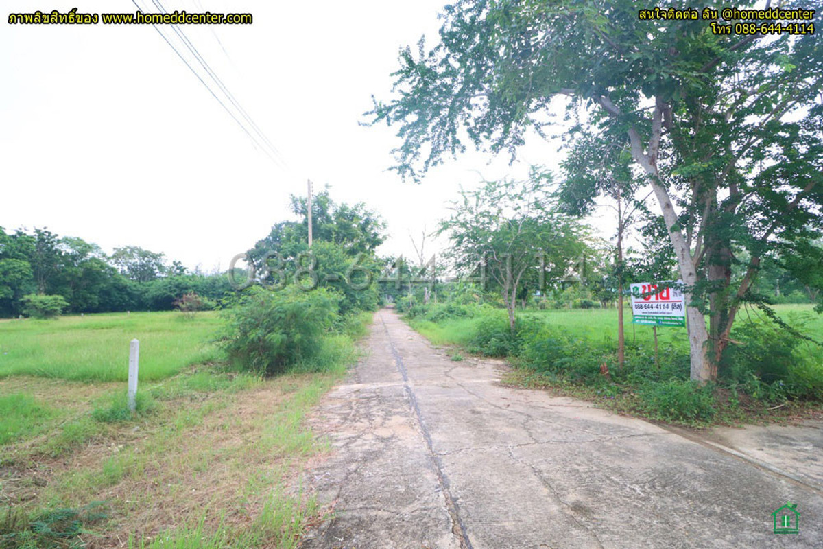 ขายที่ดินชะอำ เพชรบุรี : ที่ดิน 300 ตร.ว.ใกล้ทะเล เพชรบุรี ใกล้ หาดเจ้าสำราญ หาดปึกเตียน เพชรบุรี ในโครงการจัดสรร ติดถนนคอนกรีต 3 ด้าน