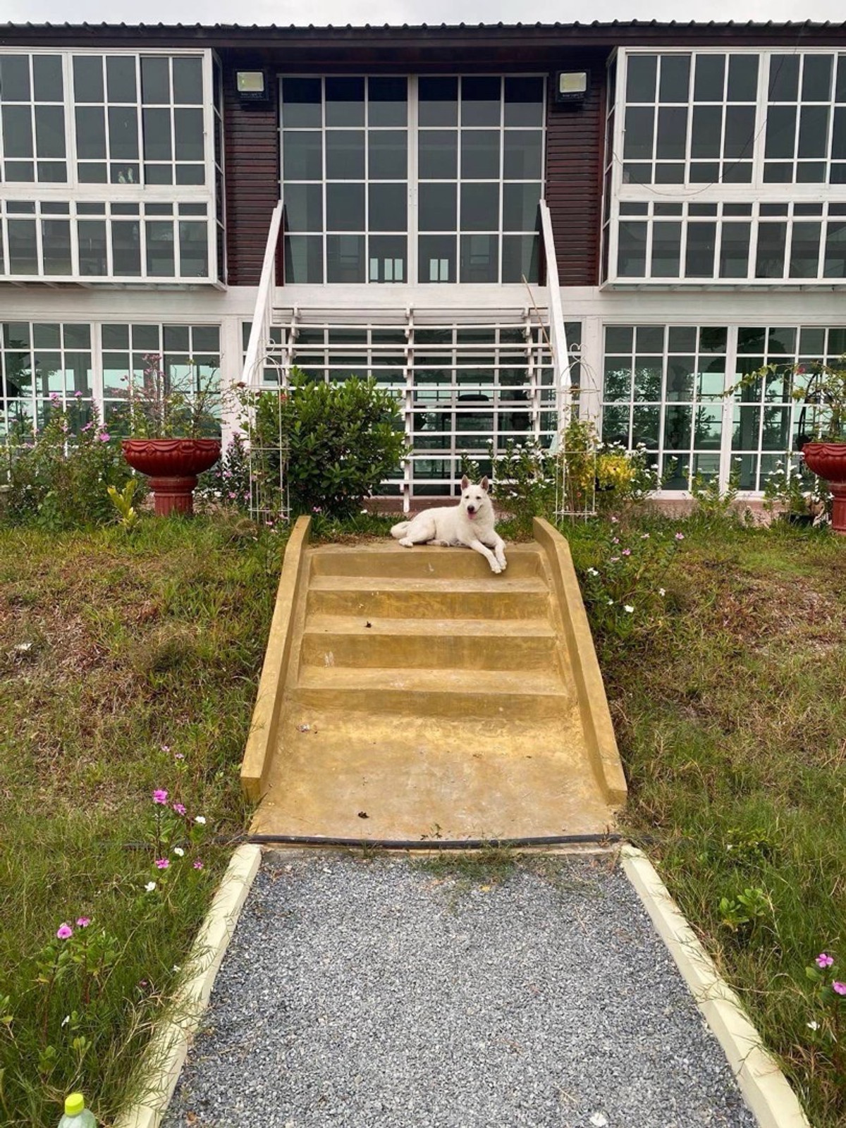 ขายบ้านนครปฐม : 📢👇 ราคาดีที่หาไม่ได้ง่าย ๆ! บ้านพร้อมโกดัง บนพื้นที่ใหญ่ ขายต่ำกว่าทุนการก่อสร้าง คุ้มค่าในการเป็นเจ้าของ ออกแบบและก่อสร้างอย่างพิถีพิถัน เดินทางสะดวก ใกล้แหล่งชุมชนและสิ่งอำนวยความสะดวกครบครัน