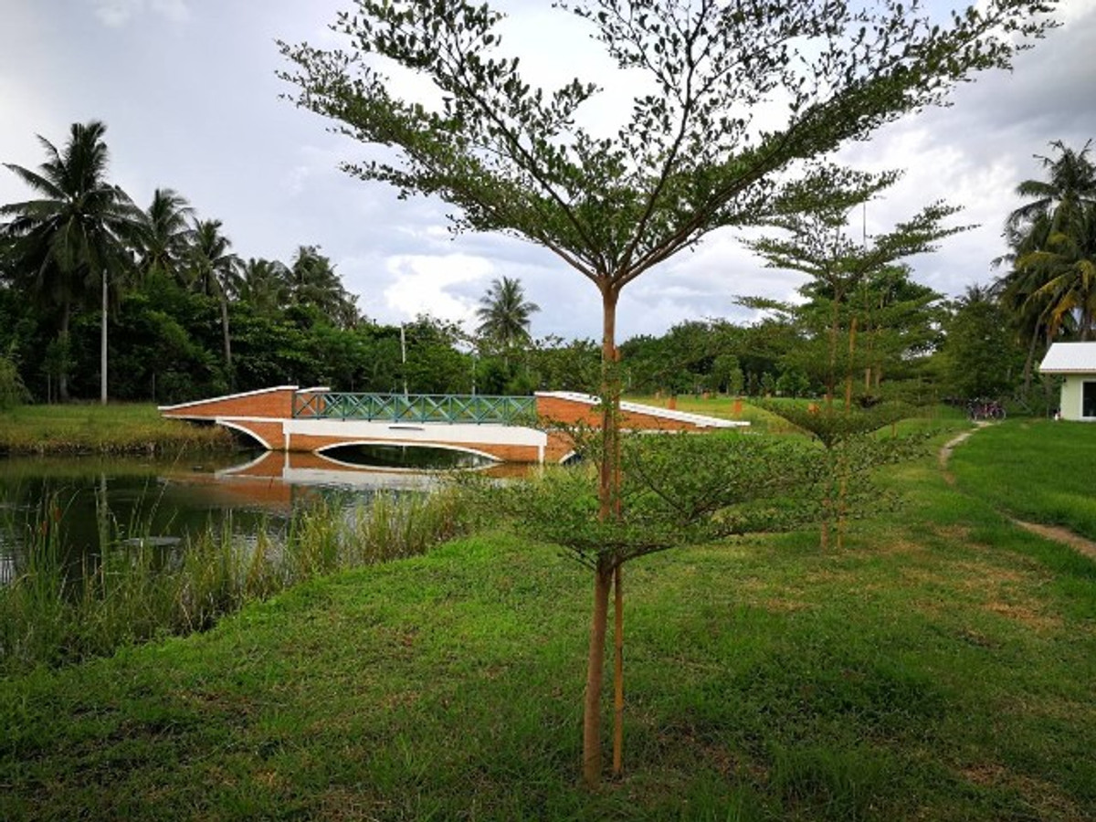 ขายที่ดินราชบุรี : ขาย ที่ดิน 13-0-15.9 ไร่ ริมแม่น้ำแม่กลอง พร้อมบ้าน 4 หลัง สไตล์ Barn House บางโตนด โพธาราม  ราชบุรี  