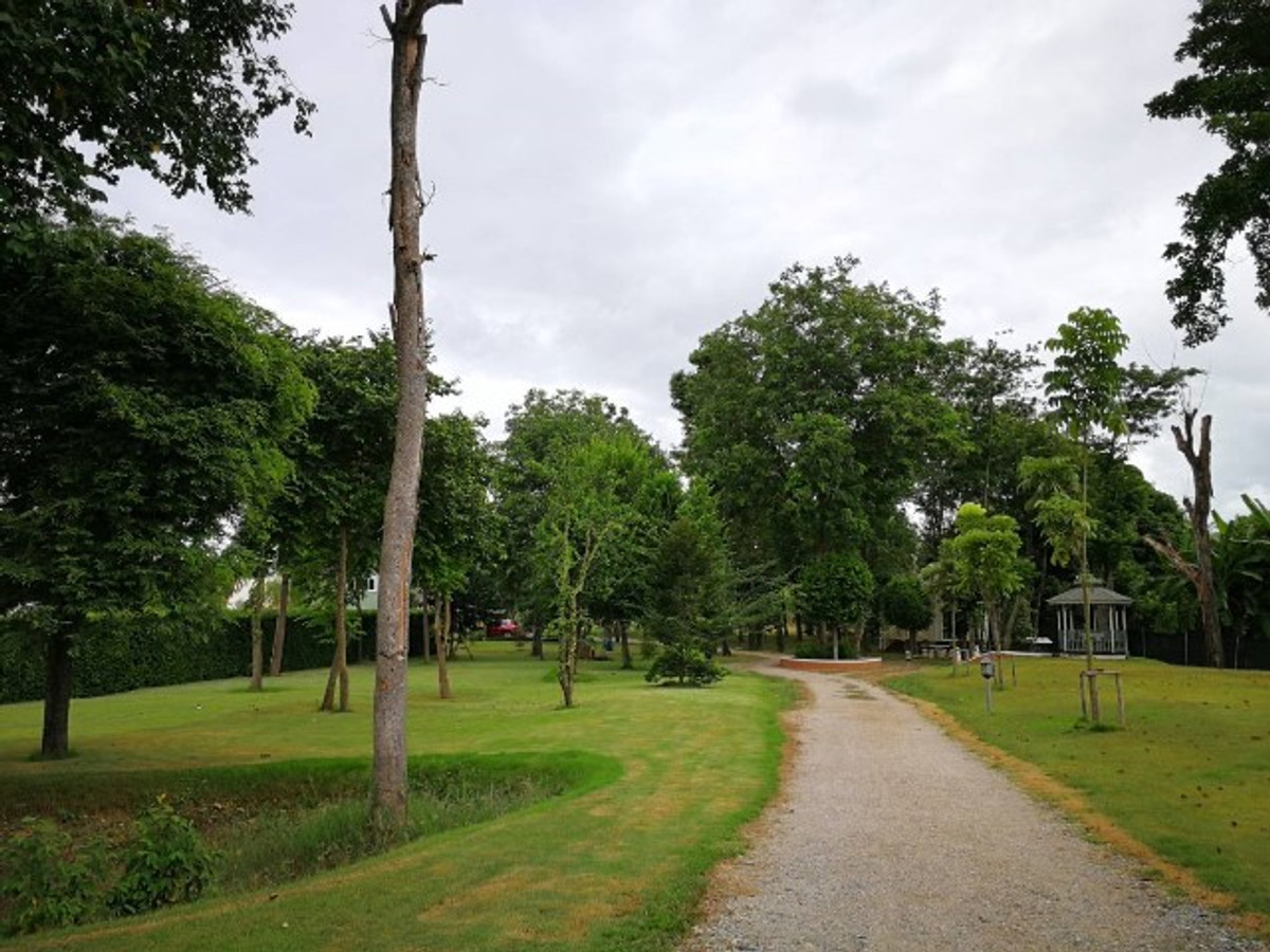 ขายที่ดินราชบุรี : ขาย ที่ดิน 13-0-15.9 ไร่ ริมแม่น้ำแม่กลอง พร้อมบ้าน 4 หลัง สไตล์ Barn House บางโตนด โพธาราม  ราชบุรี  