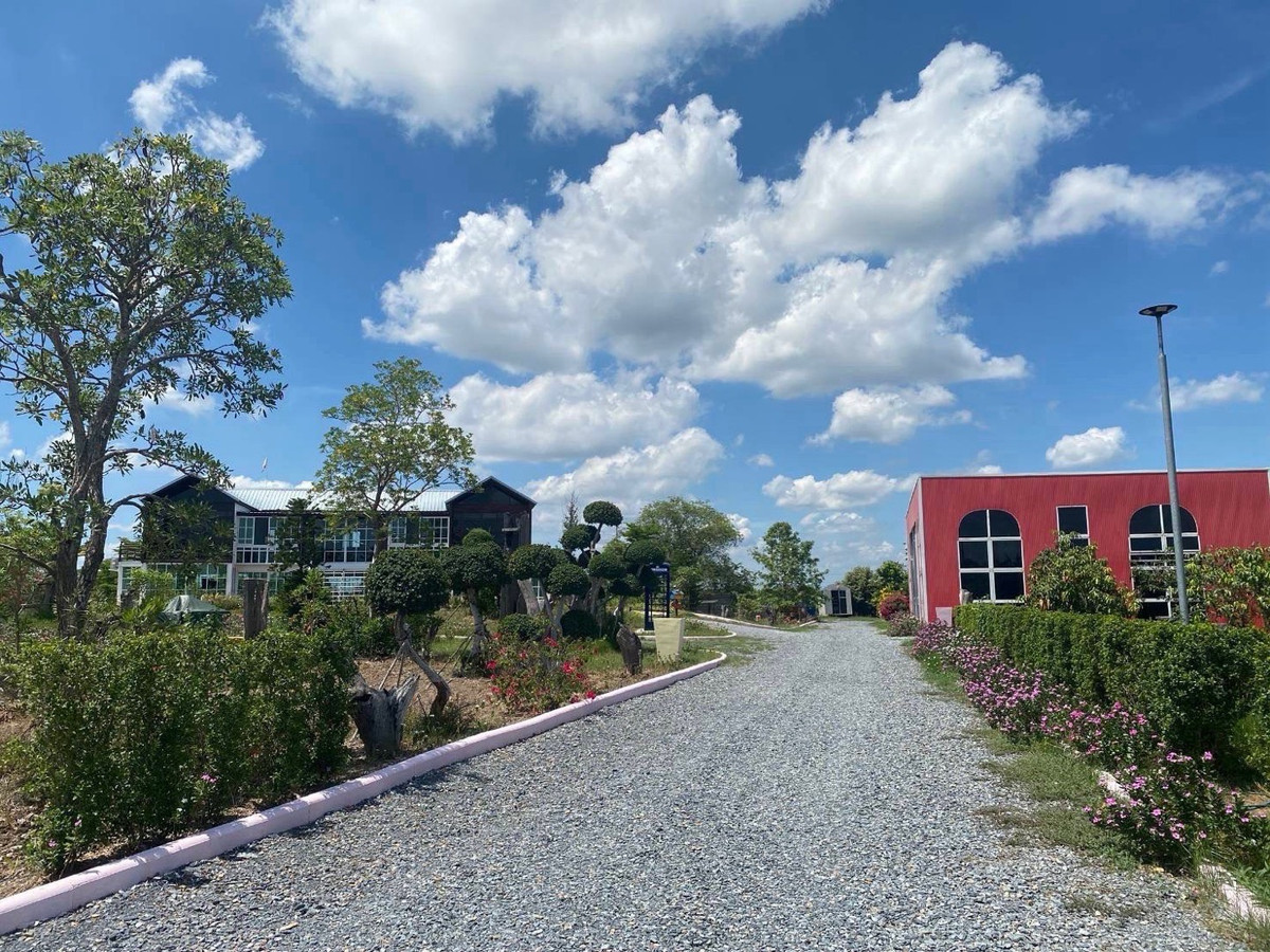 ขายบ้านนครปฐม : 📢👇 ราคาดีที่หาไม่ได้ง่าย ๆ! บ้านพร้อมโกดัง บนพื้นที่ใหญ่ ขายต่ำกว่าทุนการก่อสร้าง คุ้มค่าในการเป็นเจ้าของ ออกแบบและก่อสร้างอย่างพิถีพิถัน เดินทางสะดวก ใกล้แหล่งชุมชนและสิ่งอำนวยความสะดวกครบครัน