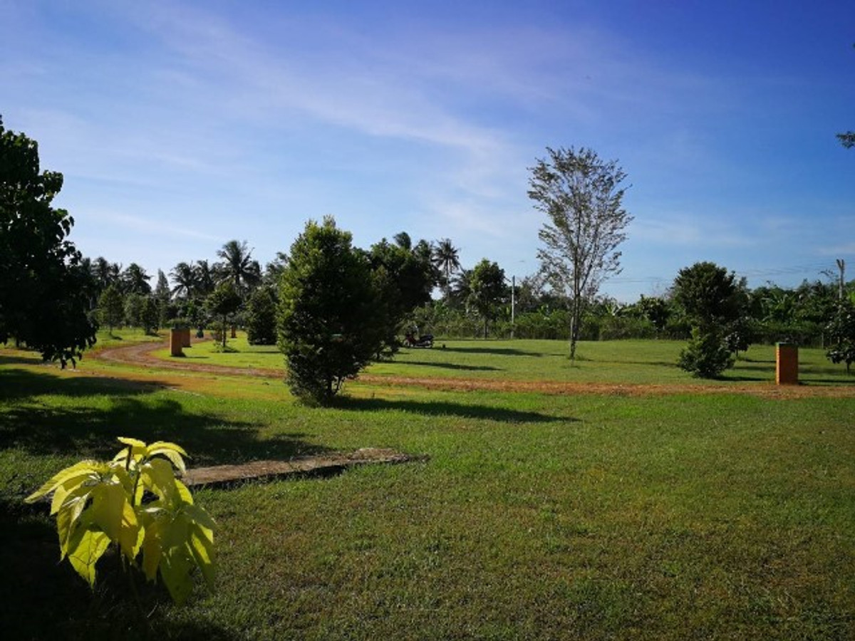 ขายที่ดินราชบุรี : ขาย ที่ดิน 13-0-15.9 ไร่ ริมแม่น้ำแม่กลอง พร้อมบ้าน 4 หลัง สไตล์ Barn House บางโตนด โพธาราม  ราชบุรี  