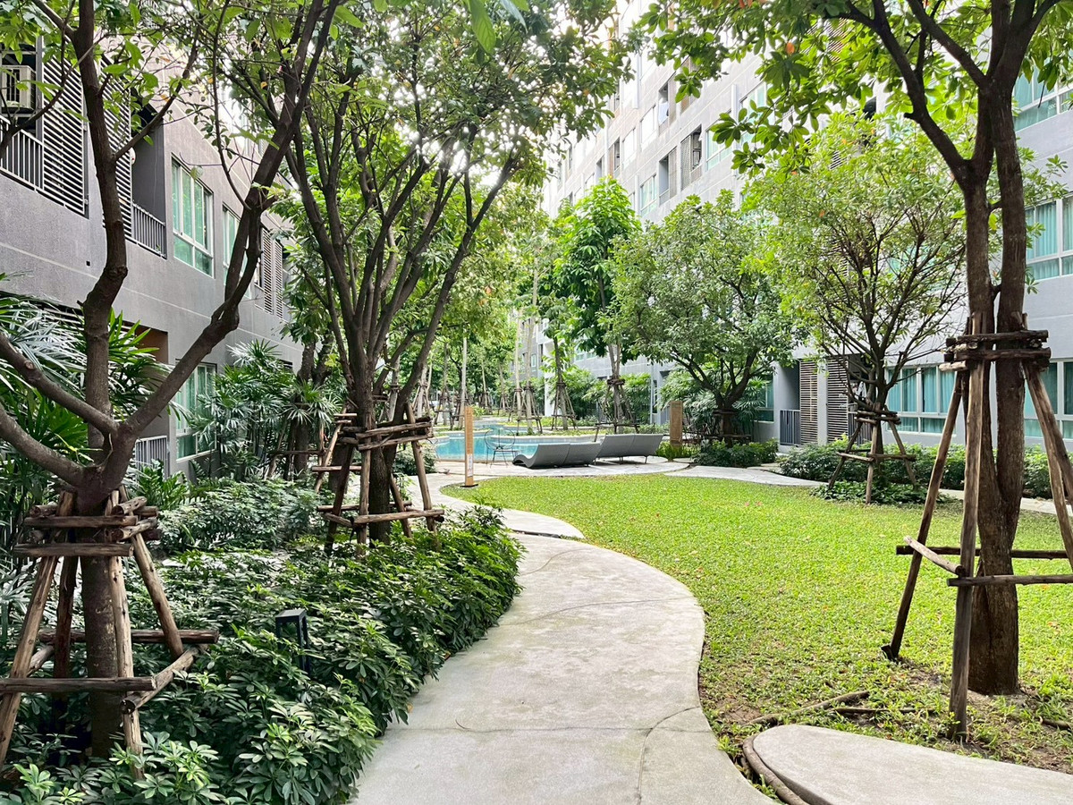 For RentCondoKasetsart, Ratchayothin : For rent Elio Del Moss 1Bed Plus (2BED) Pool View near BTS Sena-Nikhom shuttle bus service**LINE ID : @751paggb / TEL: 0863649888