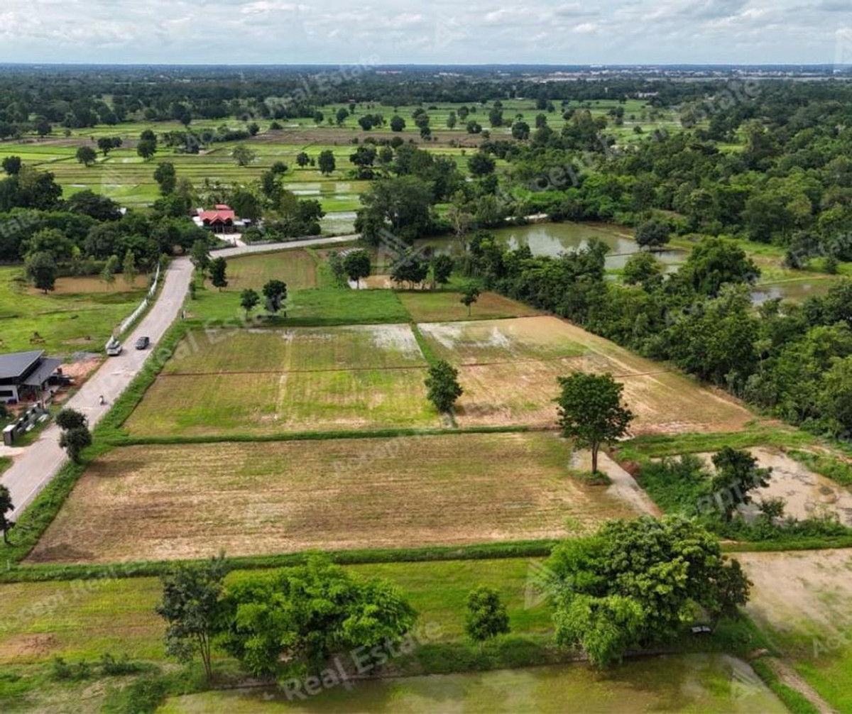 ขายที่ดินขอนแก่น : ขายด่วนที่นาแปลงสวย ทำเลดี เมืองพล ขอนแก่น พื้นที่ 10 ไร่