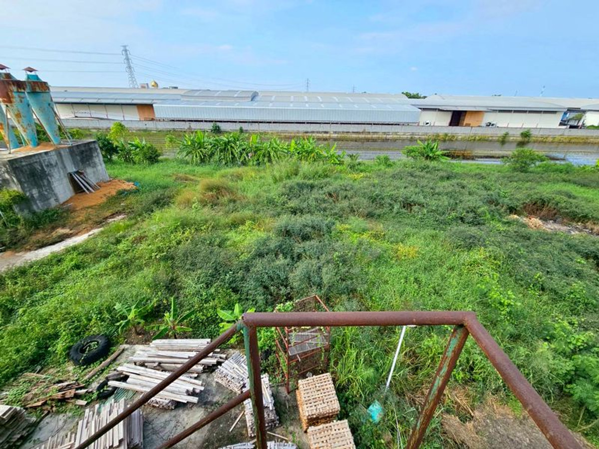 ขายโรงงานปทุมธานี รังสิต ธรรมศาสตร์ : ขาย ที่ดิน ติดถนน บางบัวทอง - สุพรรณบุรี หน้ากว้างประมาณ 90 เมตร เนื้อที่  26 ไร่ พร้อมกิจการ โรงงานไม้สัก ขนาดใหญ่ มีใบอนุญาติ อ.ลาดหลุมแก้ว ปทุมธานี 