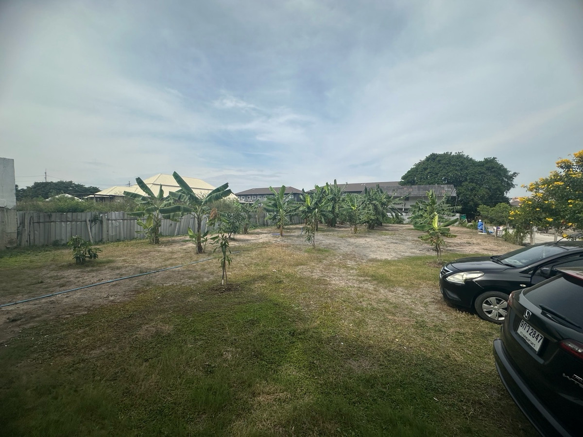 ขายที่ดินปทุมธานี รังสิต ธรรมศาสตร์ : ขายที่ดินแปลงสวยทำแล้วติด ถนนรังสิต-ปทุมธานี ต.บางโพน อ.เมืองปทุมธานี ตลาดพูนทรัพย์  ตลาด 200 ปี เวิร์คพอยท์สตูดิโอ