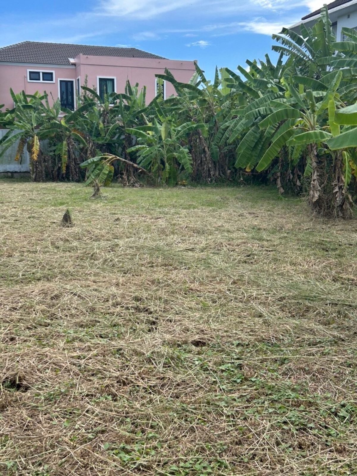 ขายที่ดินมีนบุรี-ร่มเกล้า : ขายที่ดินเปล่าในหมู่บ้านปรีชา            สุวินทวงศ์ ซอย 34แยก1 