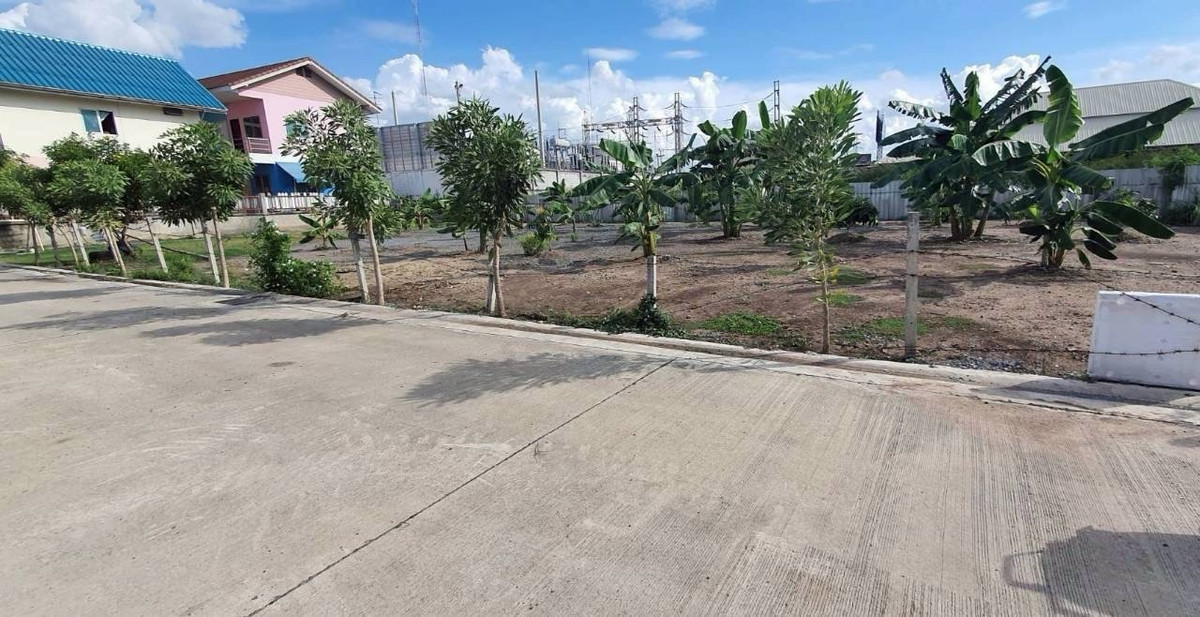 ขายที่ดินปทุมธานี รังสิต ธรรมศาสตร์ : ขายที่ดินแปลงสวยทำแล้วติด ถนนรังสิต-ปทุมธานี ต.บางโพน อ.เมืองปทุมธานี ตลาดพูนทรัพย์  ตลาด 200 ปี เวิร์คพอยท์สตูดิโอ