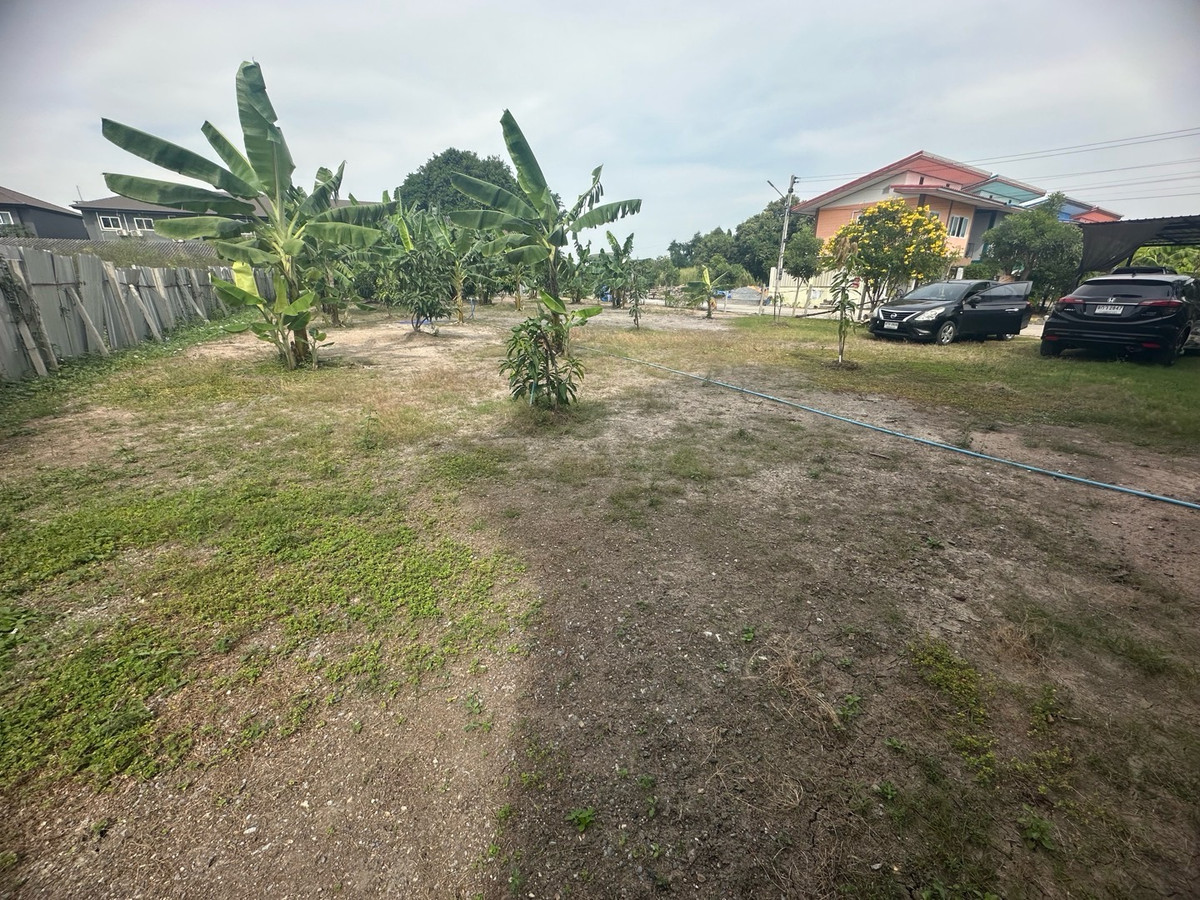 ขายที่ดินปทุมธานี รังสิต ธรรมศาสตร์ : ขายที่ดินแปลงสวยทำแล้วติด ถนนรังสิต-ปทุมธานี ต.บางโพน อ.เมืองปทุมธานี ตลาดพูนทรัพย์  ตลาด 200 ปี เวิร์คพอยท์สตูดิโอ