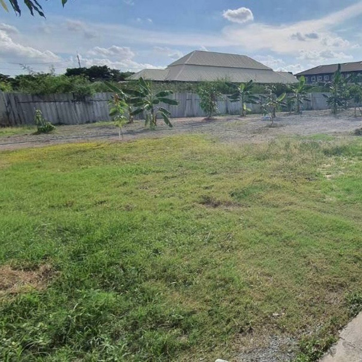 ขายที่ดินปทุมธานี รังสิต ธรรมศาสตร์ : ขายที่ดินแปลงสวยทำแล้วติด ถนนรังสิต-ปทุมธานี ต.บางโพน อ.เมืองปทุมธานี ตลาดพูนทรัพย์  ตลาด 200 ปี เวิร์คพอยท์สตูดิโอ