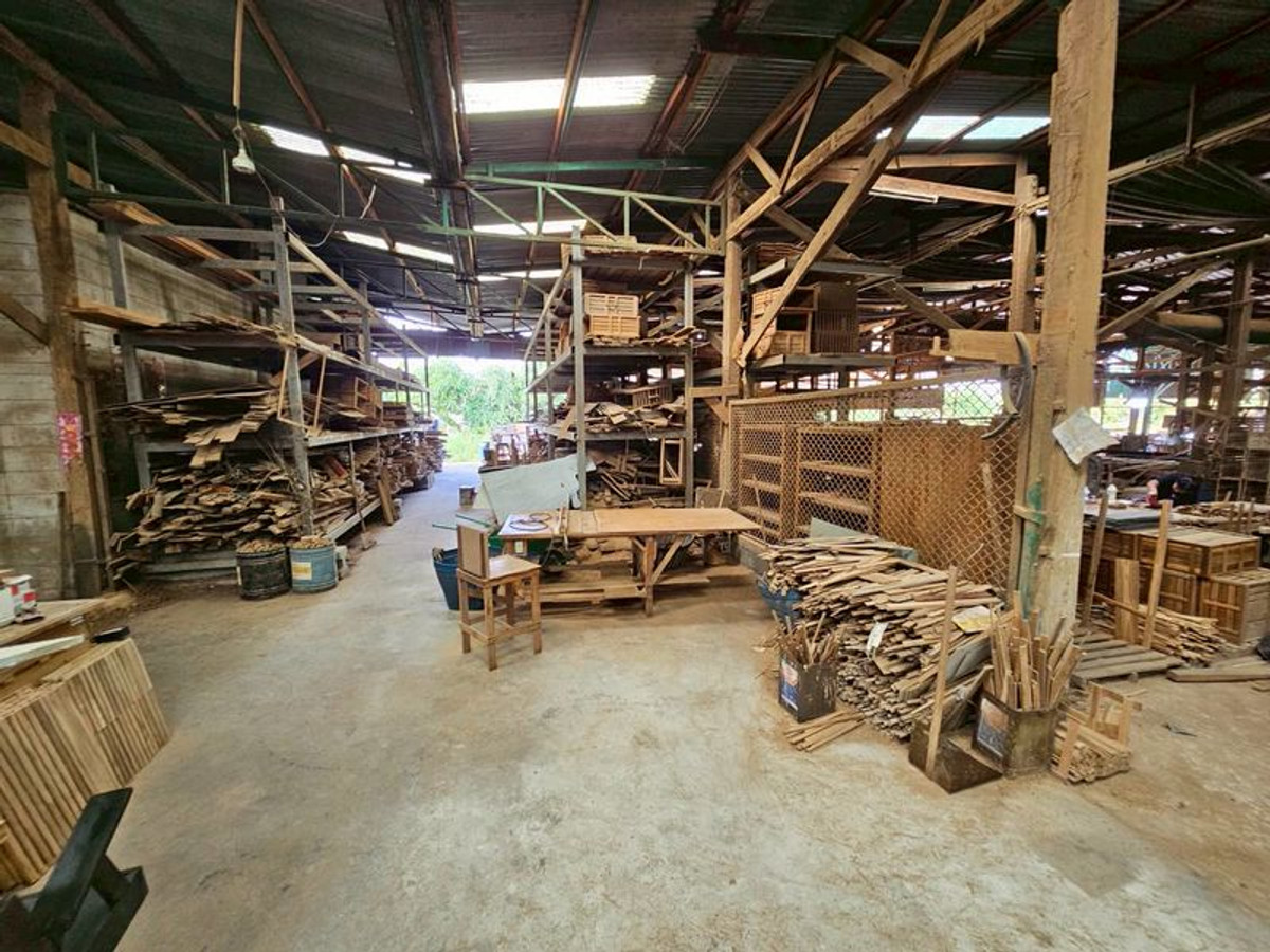 ขายโรงงานปทุมธานี รังสิต ธรรมศาสตร์ : ขาย ที่ดิน ติดถนน บางบัวทอง - สุพรรณบุรี หน้ากว้างประมาณ 90 เมตร เนื้อที่  26 ไร่ พร้อมกิจการ โรงงานไม้สัก ขนาดใหญ่ มีใบอนุญาติ อ.ลาดหลุมแก้ว ปทุมธานี 