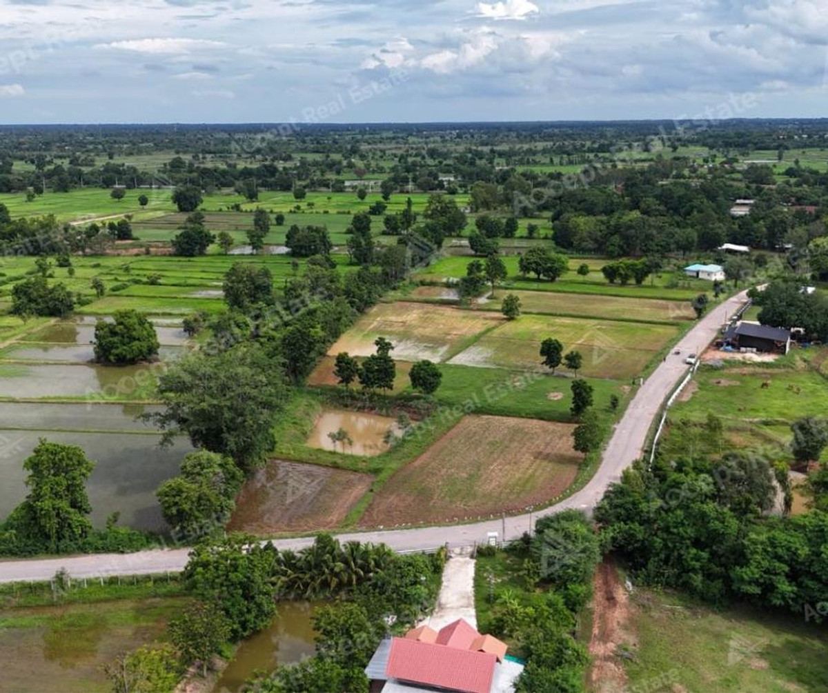 ขายที่ดินขอนแก่น : ขายด่วนที่นาแปลงสวย ทำเลดี เมืองพล ขอนแก่น พื้นที่ 10 ไร่