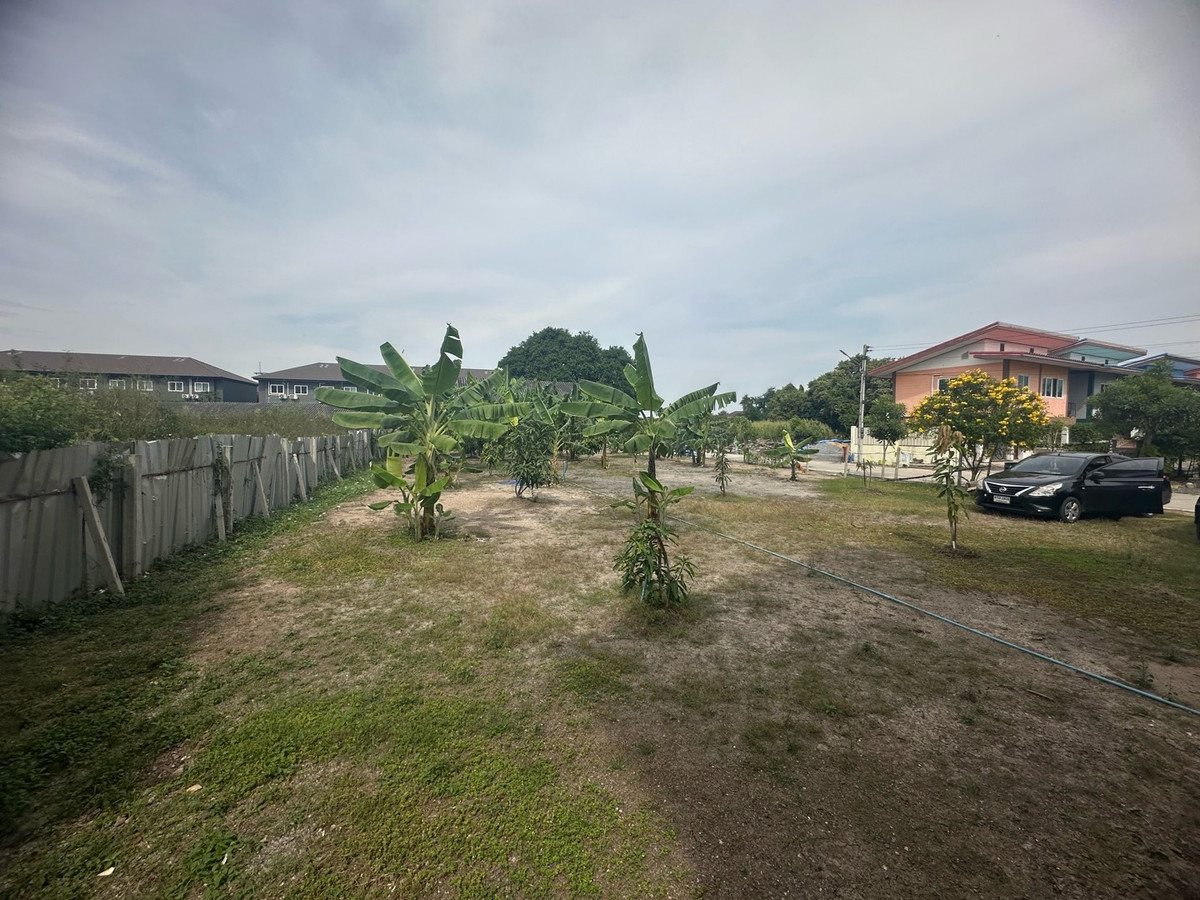 ขายที่ดินปทุมธานี รังสิต ธรรมศาสตร์ : ขายที่ดินแปลงสวยทำแล้วติด ถนนรังสิต-ปทุมธานี ต.บางโพน อ.เมืองปทุมธานี ตลาดพูนทรัพย์  ตลาด 200 ปี เวิร์คพอยท์สตูดิโอ