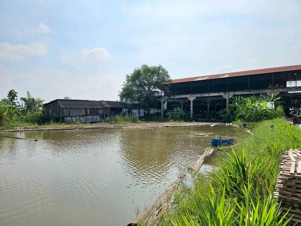 ขายโรงงานปทุมธานี รังสิต ธรรมศาสตร์ : ขาย ที่ดิน ติดถนน บางบัวทอง - สุพรรณบุรี หน้ากว้างประมาณ 90 เมตร เนื้อที่  26 ไร่ พร้อมกิจการ โรงงานไม้สัก ขนาดใหญ่ มีใบอนุญาติ อ.ลาดหลุมแก้ว ปทุมธานี 