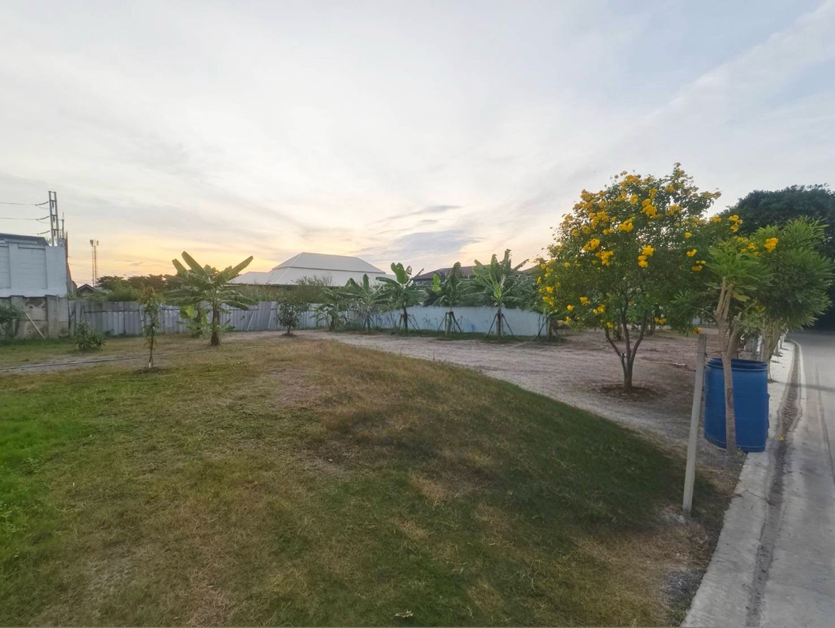 ขายที่ดินปทุมธานี รังสิต ธรรมศาสตร์ : ขายที่ดินแปลงสวยทำแล้วติด ถนนรังสิต-ปทุมธานี ต.บางโพน อ.เมืองปทุมธานี ตลาดพูนทรัพย์  ตลาด 200 ปี เวิร์คพอยท์สตูดิโอ