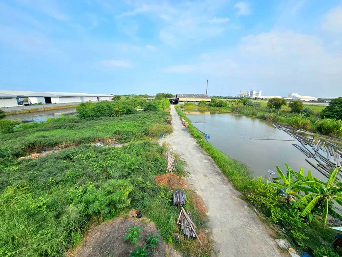 ขายโรงงานปทุมธานี รังสิต ธรรมศาสตร์ : ขาย ที่ดิน ติดถนน บางบัวทอง - สุพรรณบุรี หน้ากว้างประมาณ 90 เมตร เนื้อที่  26 ไร่ พร้อมกิจการ โรงงานไม้สัก ขนาดใหญ่ มีใบอนุญาติ อ.ลาดหลุมแก้ว ปทุมธานี 