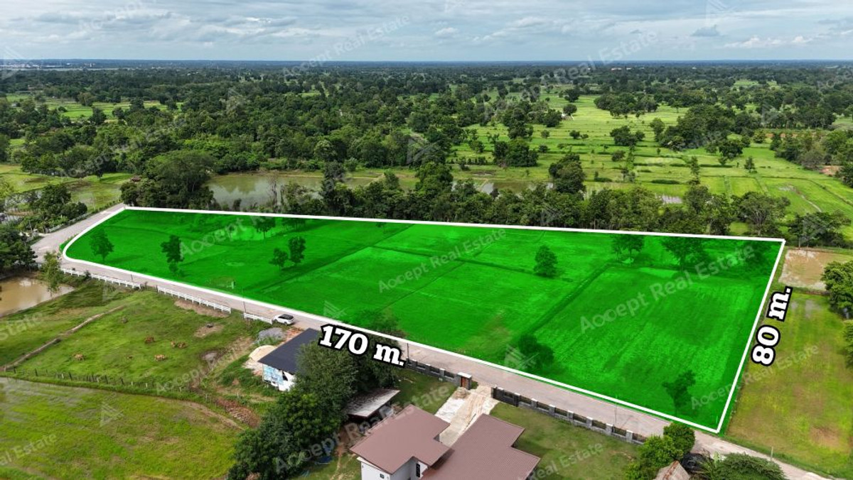 ขายที่ดินขอนแก่น : ขายด่วนที่นาแปลงสวย ทำเลดี เมืองพล ขอนแก่น พื้นที่ 10 ไร่