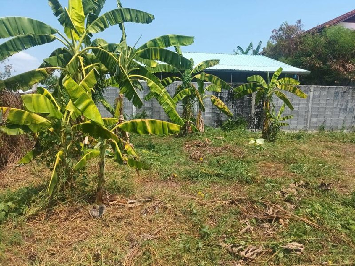 ขายที่ดินพุทธมณฑล ศาลายา : ขายที่ดินเปล่า 2 แปลงติดกัน เนื้อที่ 128 ตารางวา ถมเรียบร้อยแล้ว ถนนพุทธมณฑล สาย 2 แขวงศาลาธรรมสพน์ เขตทวีวัฒนา กรุงเทพมหานคร