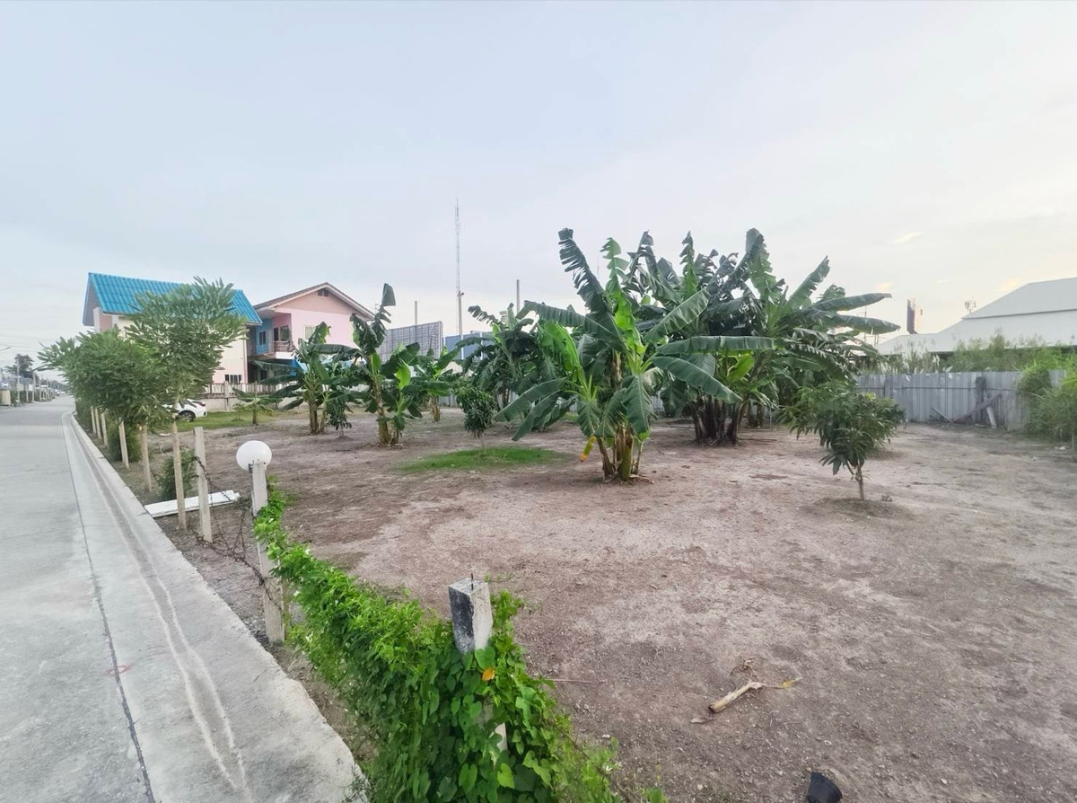 ขายที่ดินปทุมธานี รังสิต ธรรมศาสตร์ : ขายที่ดินแปลงสวยทำแล้วติด ถนนรังสิต-ปทุมธานี ต.บางโพน อ.เมืองปทุมธานี ตลาดพูนทรัพย์  ตลาด 200 ปี เวิร์คพอยท์สตูดิโอ