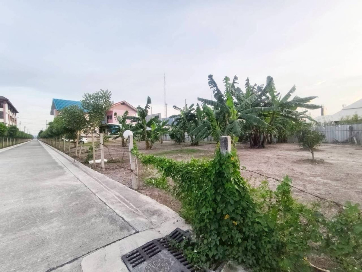 ขายที่ดินปทุมธานี รังสิต ธรรมศาสตร์ : ขายที่ดินแปลงสวยทำแล้วติด ถนนรังสิต-ปทุมธานี ต.บางโพน อ.เมืองปทุมธานี ตลาดพูนทรัพย์  ตลาด 200 ปี เวิร์คพอยท์สตูดิโอ