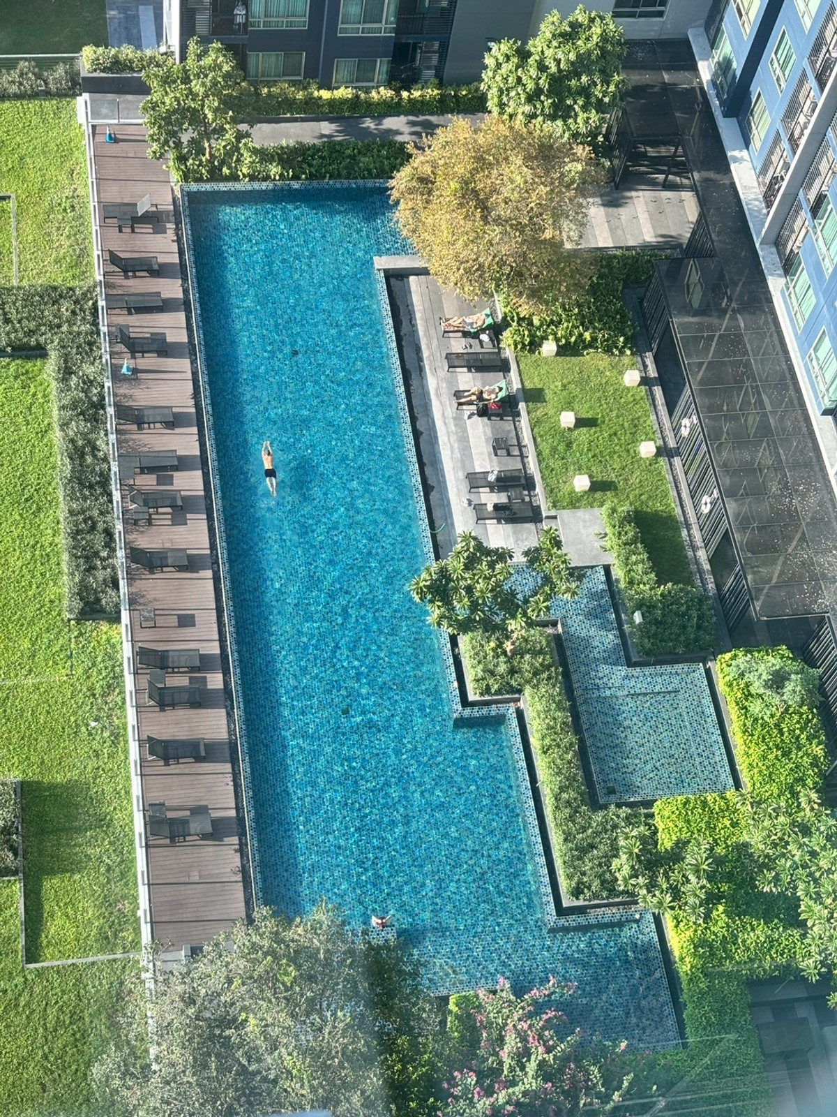 ขายคอนโดอ่อนนุช อุดมสุข : 💕คอนโด High Rise วิวเมือง วิวไม่บล็อก วิวสวย! ใกล้สถานี BTS.อ่อนนุช💥