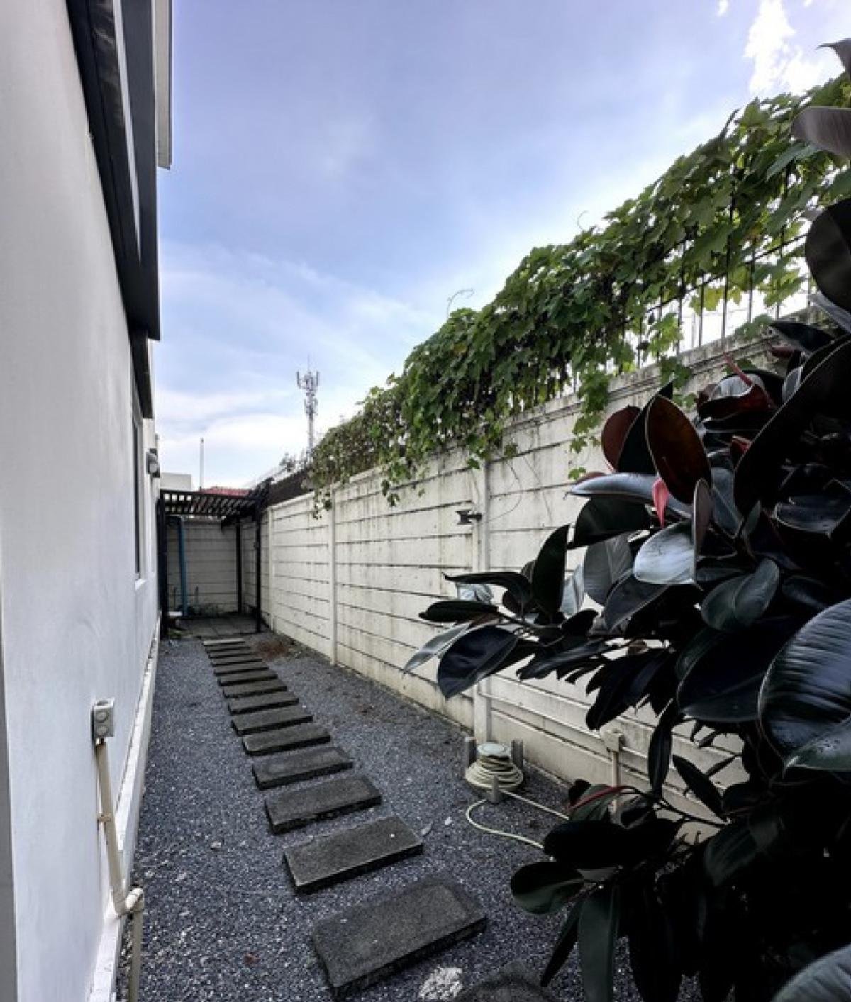 For SaleTownhomeRama 2, Bang Khun Thian : For Sale Townhouse/Townhome  , Town Avenue Time Thakaham 16 , corner unit , Samae Dam , Bang Khun Thian , Bangkok , CX-138154