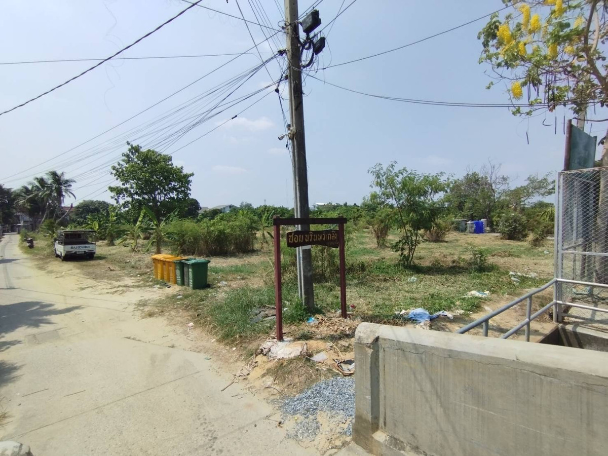 ขายที่ดินนนทบุรี บางใหญ่ บางบัวทอง : 86647 - ขาย ที่ดินเปล่า 1แปลง ใกล้แม่น้ำเจ้าพระยา