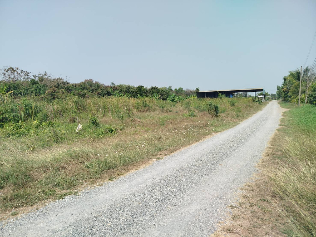 ขายที่ดินนนทบุรี บางใหญ่ บางบัวทอง : แบ่งขายที่ดิน 100 ตรว. หนองเพรางาย ใกล้ซอยคลองถนน บางบัวทอง นนทบุรี