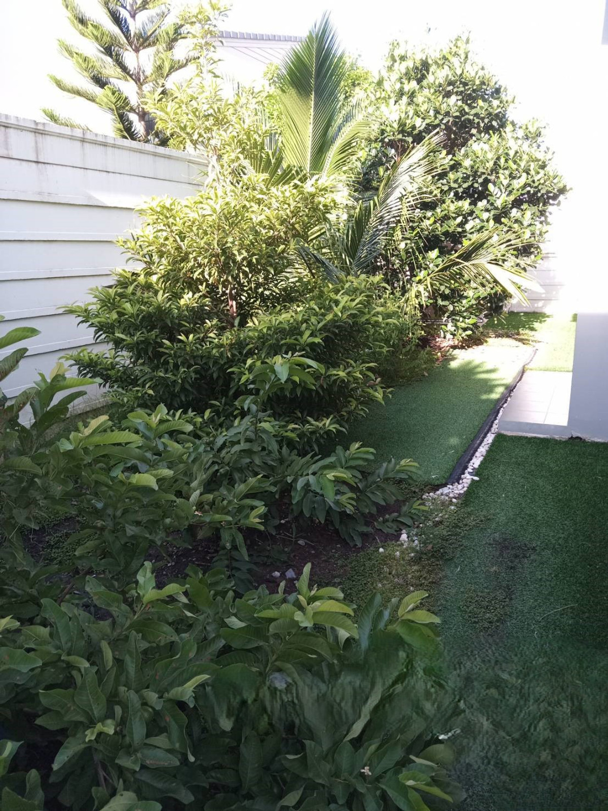 For SaleTownhomePathum Thani,Rangsit, Thammasat : 87837 - Townhome for sale, area 33.5 square wah, The Colors Mix Rangsit-Wongwaen, Lam Luk Ka Khlong 5, Pathum Thani, 10 minutes to Kanchanaphisek Expressway 9.