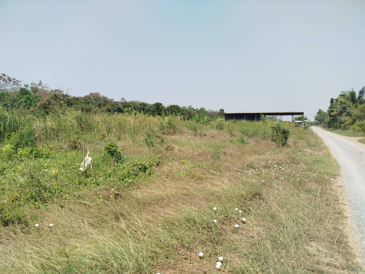 ขายที่ดินนนทบุรี บางใหญ่ บางบัวทอง : แบ่งขายที่ดิน 100 ตรว. หนองเพรางาย ใกล้ซอยคลองถนน บางบัวทอง นนทบุรี