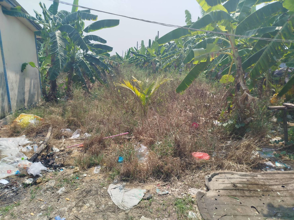 ขายที่ดินนนทบุรี บางใหญ่ บางบัวทอง : ขายที่ดิน ซอยเคหะ-บ้านใหม่ 35 (ซอย สส.สำเร็จ) แยก6  392 ตรว.