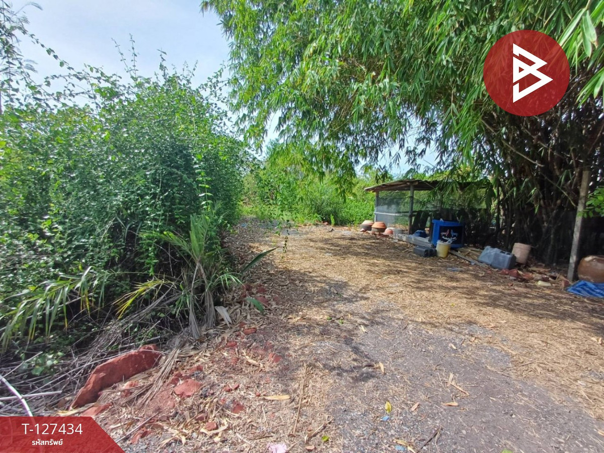 For SaleLandSamut Songkhram : Land for sale, area 2 rai, Lat Yai, Samut Songkhram.