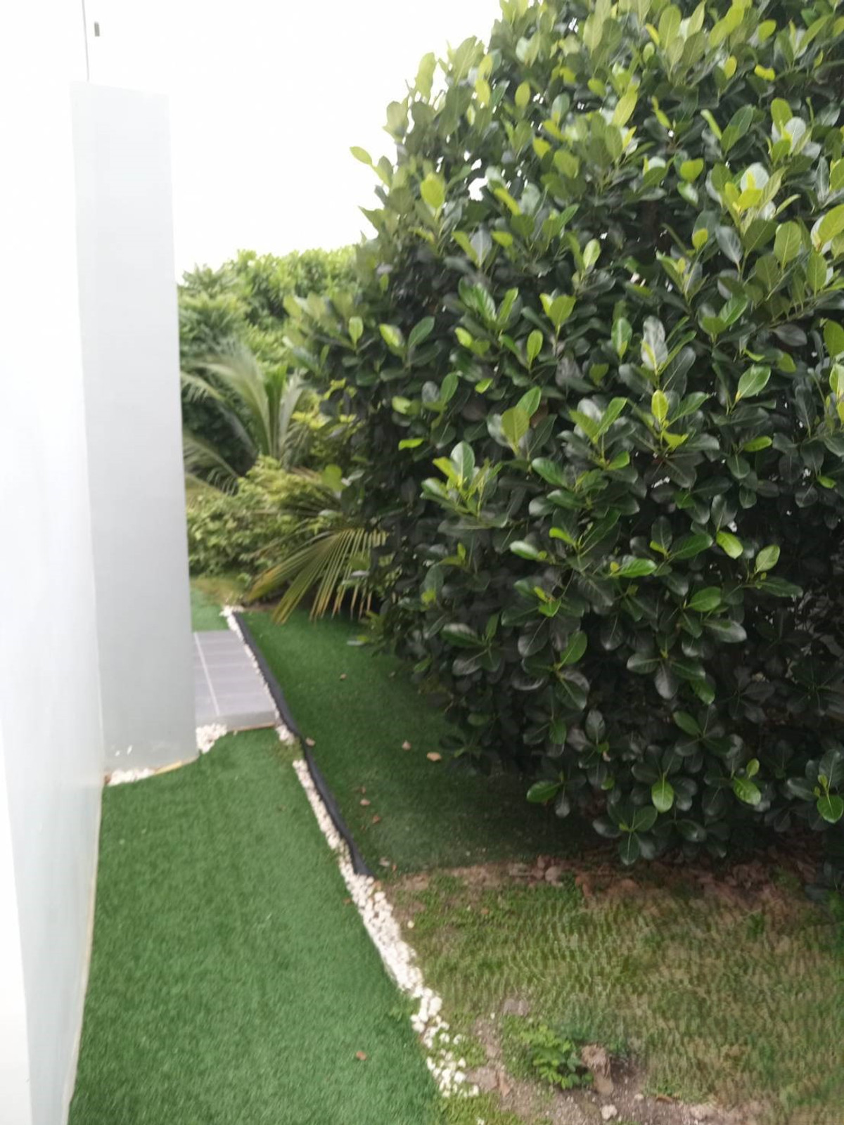 For SaleTownhomePathum Thani,Rangsit, Thammasat : 87837 - Townhome for sale, area 33.5 square wah, The Colors Mix Rangsit-Wongwaen, Lam Luk Ka Khlong 5, Pathum Thani, 10 minutes to Kanchanaphisek Expressway 9.