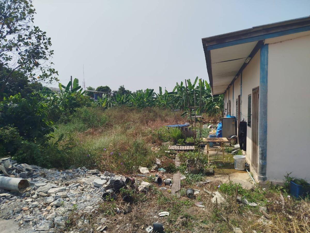 ขายที่ดินนนทบุรี บางใหญ่ บางบัวทอง : ขายที่ดิน ซอยเคหะ-บ้านใหม่ 35 (ซอย สส.สำเร็จ) แยก6  392 ตรว.