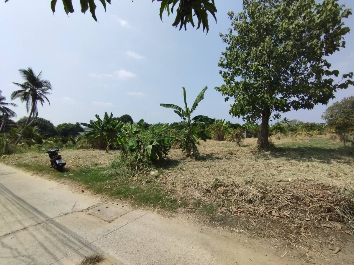 ขายที่ดินนนทบุรี บางใหญ่ บางบัวทอง : 86647 - ขาย ที่ดินเปล่า 1แปลง ใกล้แม่น้ำเจ้าพระยา