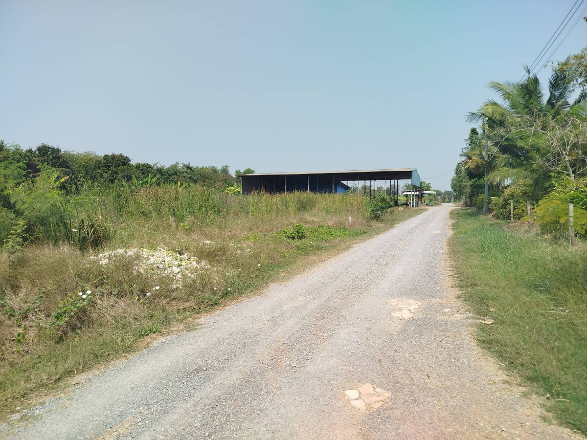 ขายที่ดินนนทบุรี บางใหญ่ บางบัวทอง : แบ่งขายที่ดิน 100 ตรว. หนองเพรางาย ใกล้ซอยคลองถนน บางบัวทอง นนทบุรี